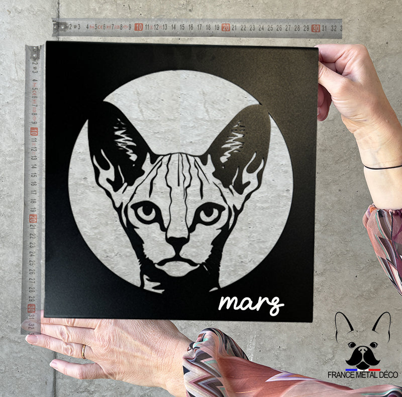 206 - PORTRAIT DEVON REX