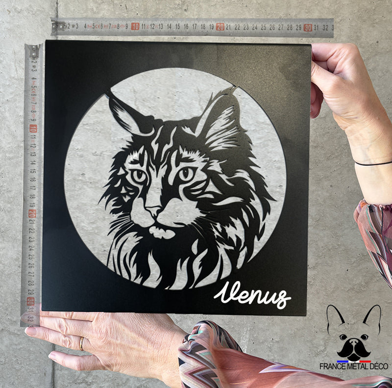 206 - PORTRAIT HIMALAYAN