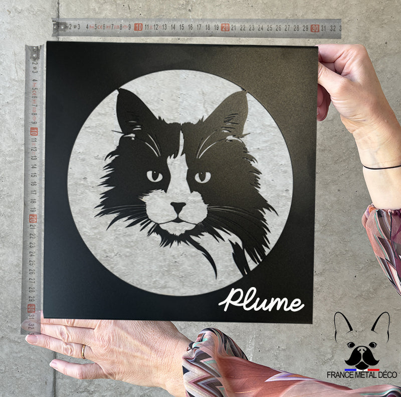 216 - PORTRAIT RAGDOLL