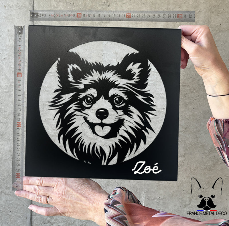 38 - PORTRAIT SPITZ NAIN