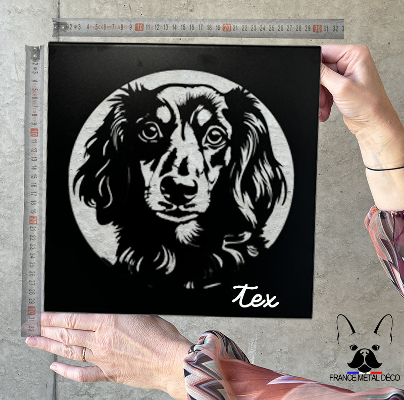 40 - PORTRAIT TECKEL POIL LONG