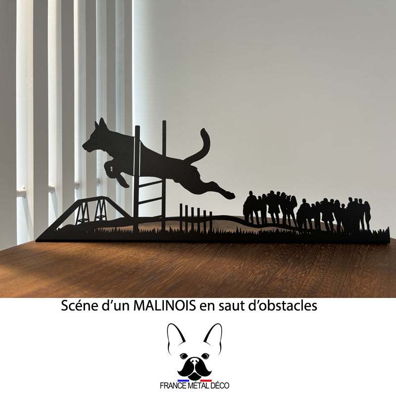 SCENE MALINOIS 01