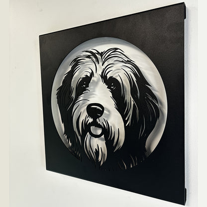 07 - PORTRAIT - BEARDED COLLIE