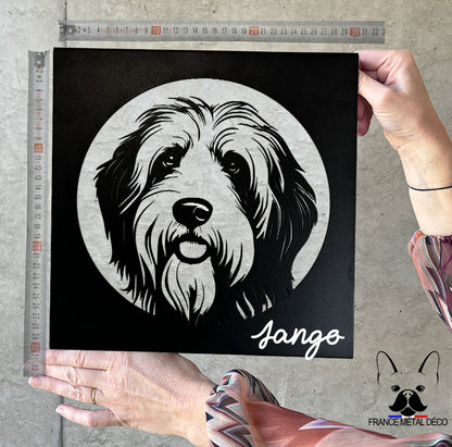 07 - PORTRAIT - BEARDED COLLIE