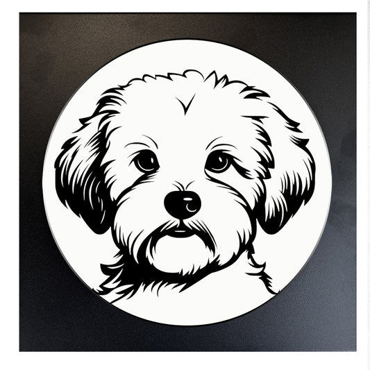 25 - PORTRAIT BICHON