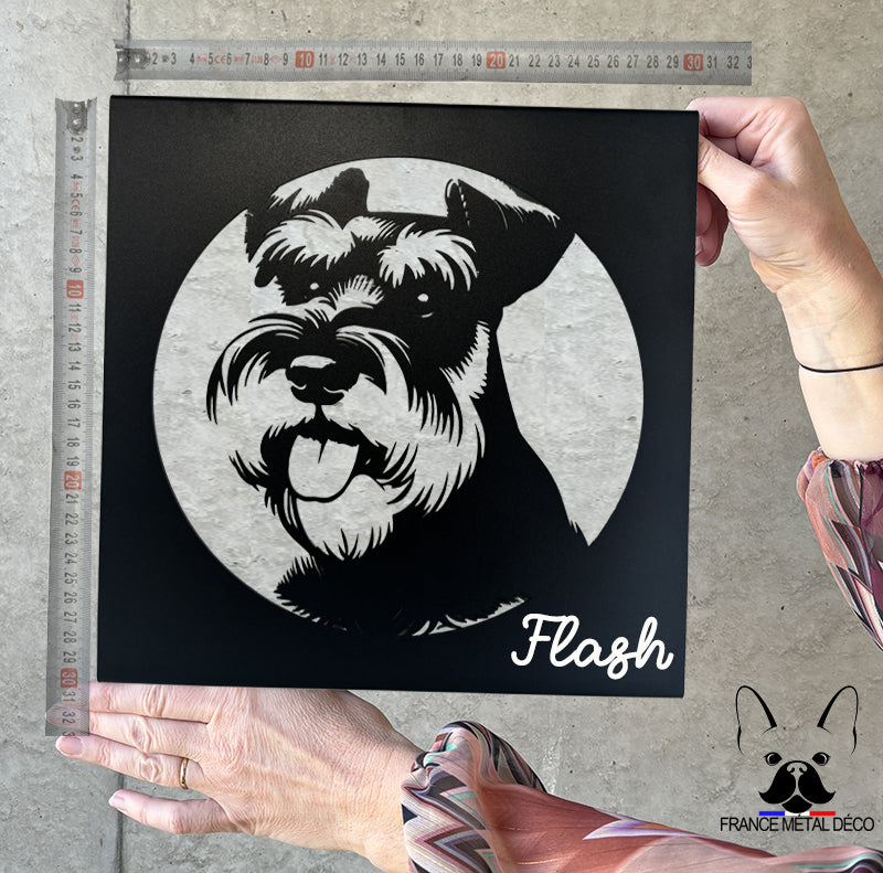 26 - PORTRAIT SCHNAUZER