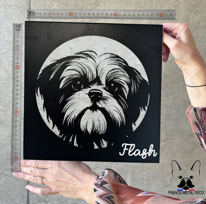 27 - PORTRAIT SHIH TZU