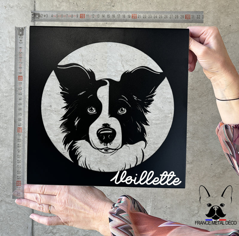 28 - PORTRAIT BORDER COLLIE